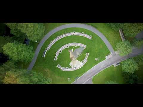 🕊️ Moheda, ett fågelperspektiv 🕊️