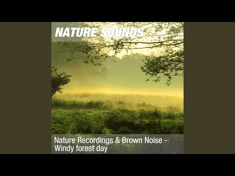 Nature Sounds for Sleep & Relaxing Exercises (Woodland daytime, brown noise) 16