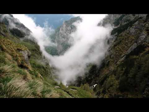 Felicia Donceanu (1931-2022): "Dedication" for viola, clarinet and piano (2010)