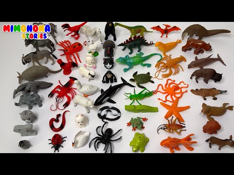 Animals by Color 🐓🦃 Look and Learn ✨ Preschool Educational Games | Mimonona Stories