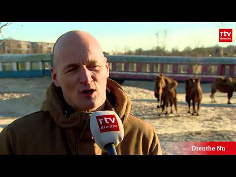 Expert: Wildlands Emmen is really doing something wrong if visitor numbers decline so much