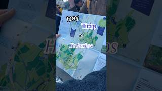 Day trip to Hallerbos to see the Blue Bells!
