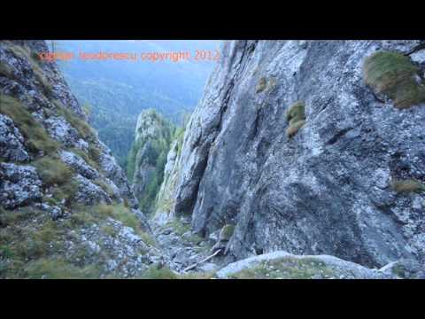 Valea Coltilor vara