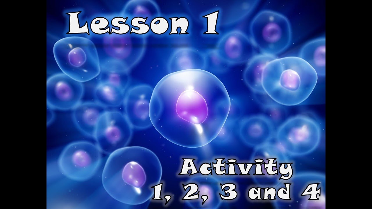 G6-T1 Concept 1.1 lesson 1   H.W.