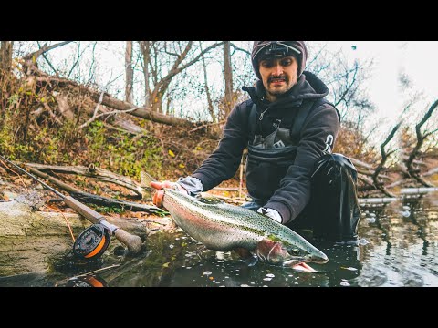 Fall Steelhead Spey Fishing 2022 - GRABS + RUNS