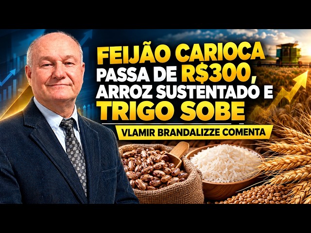 Feijão Carioca Passa de R$300, Arroz Sustentado e Trigo Sobe – Vlamir Brandalizze comenta.