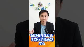 個人情報保護法改正の問題点は？自民党は本当に国産AIをやる気があるのか？海外に国民データを売るな #個人情報保護法　 #高市政権　#自民党