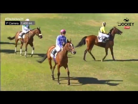 The Jockey, Gran Hipódromo de Andalucía,  28 de febrero 2016