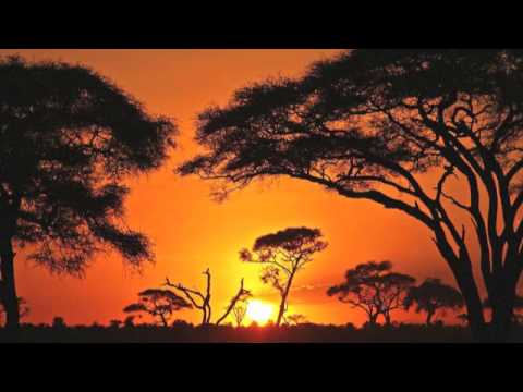 DAMISSA SEKOU DIABATÉ - KANDJORA kebediarassi.com