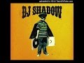 DJ Shadow - Triplicate / Something Happened That Day (2006)