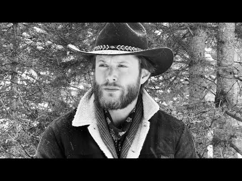 "City Grown Willow" by Radio Company