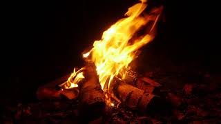 HOUR LONG FIRE 4K Holiday Winter Wilderness Campfire
