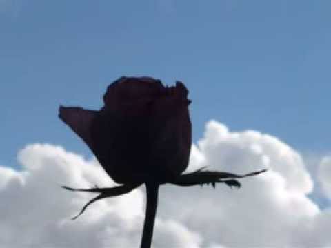 Ta Rembetika Tis Sotirias  Bellou 9 - Kante Topo Na Perazo - 03-11-2013 - 4