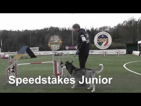 Roma Finale Csen 14-15/02/2015