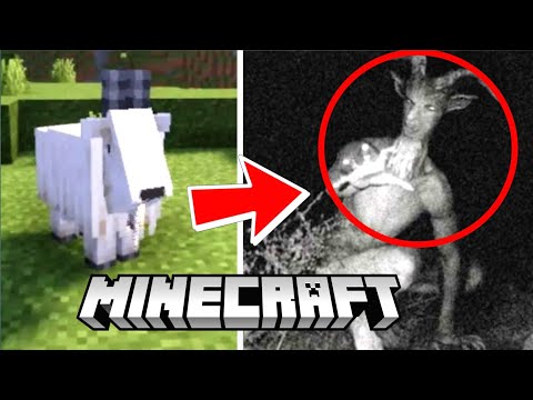 Real Life Cursed Minecraft Mobs Caught on Camera