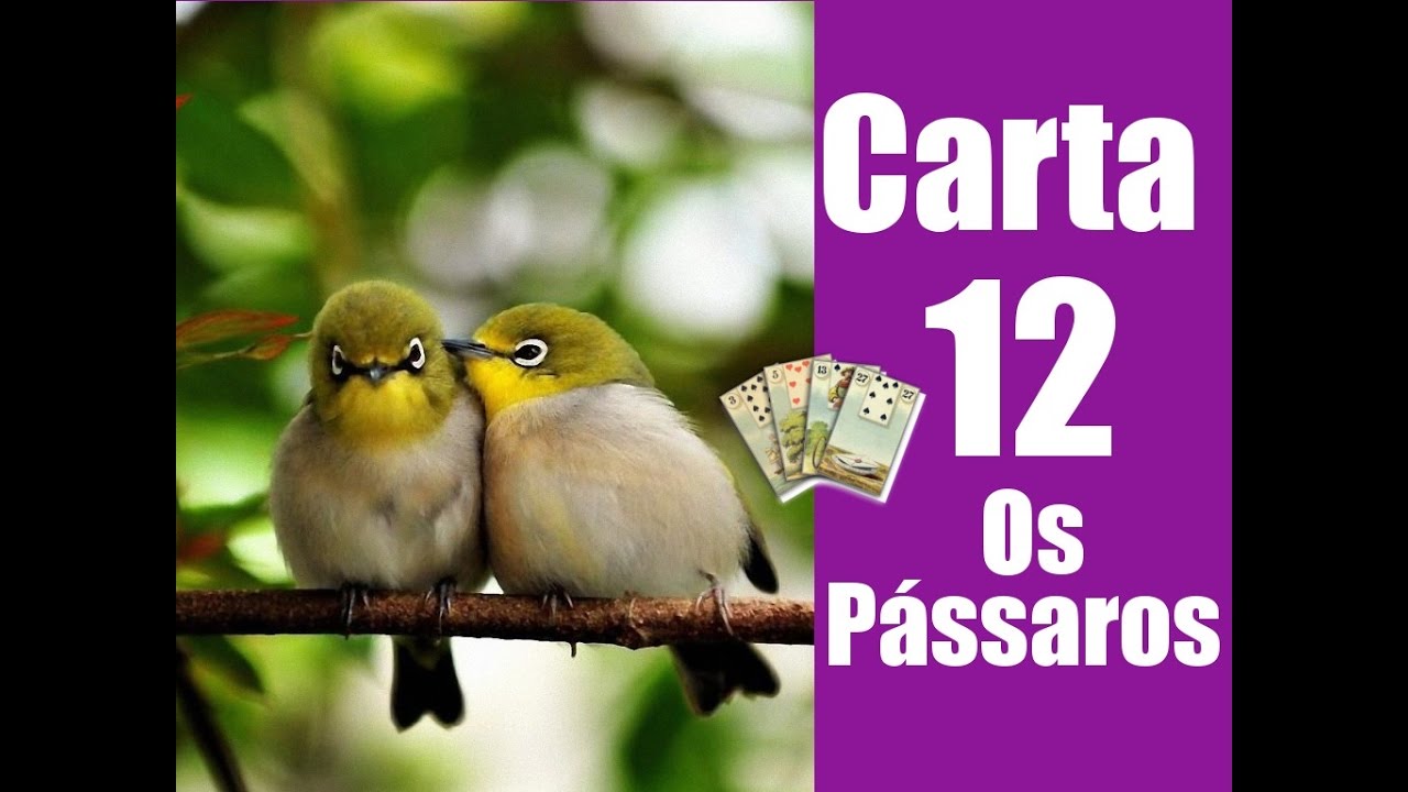 Baralho Cigano significados - CARTA 12 - OS PÁSSAROS - cartas ciganas significados