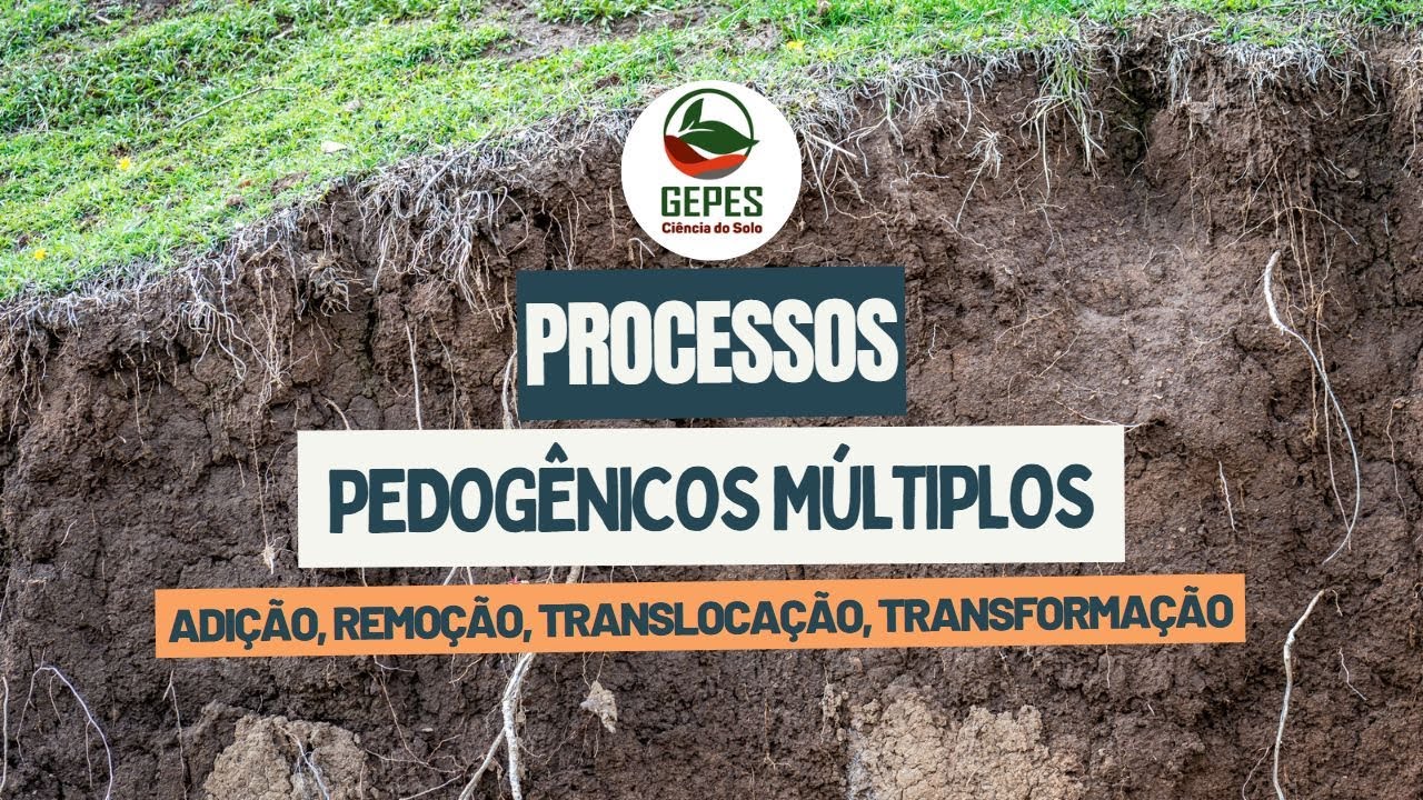 Processos pedogenéticos múltiplos: adição, remoção, transformação e translocação