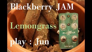 Blackberry JAM Lemongrass: TS系プリアンプ／ブースター - Supernice