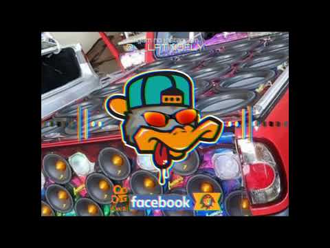 CD FORRÓZIN 2K24 - AS MAIS TOCADAS DO TIK TOK 2024