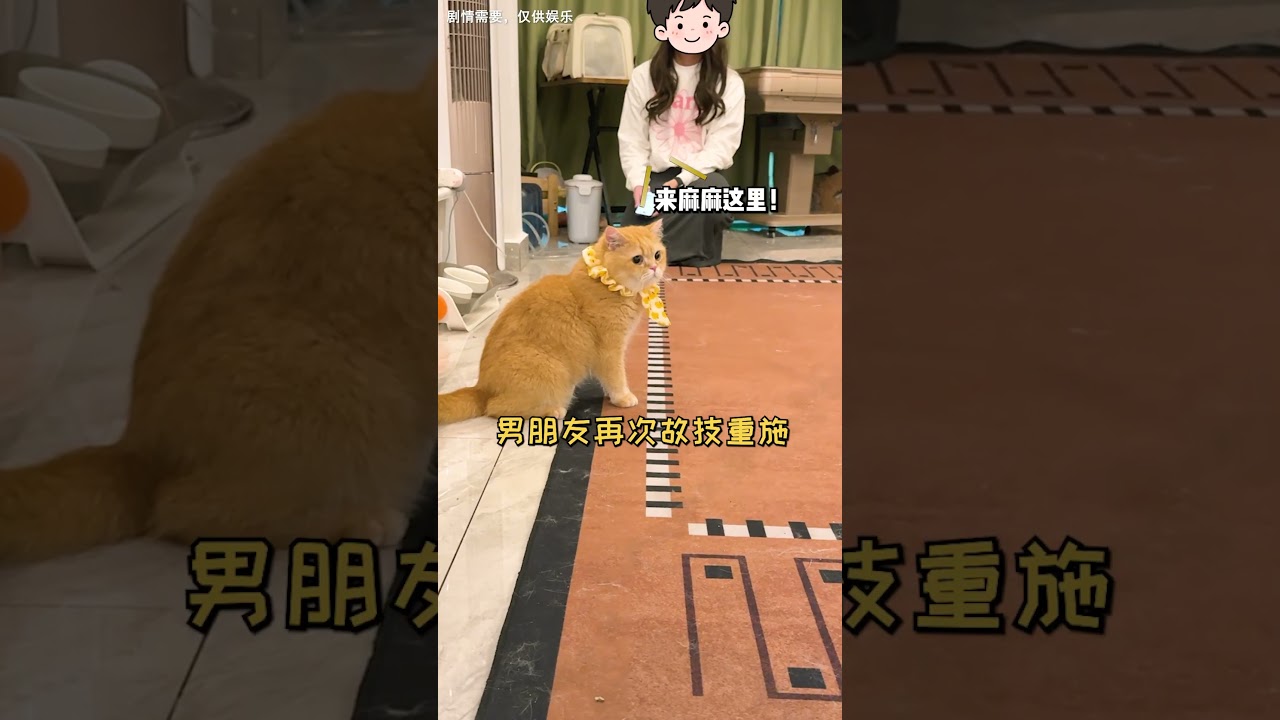 【魚蛋的日常】測試小貓會奔向爸爸還是媽媽..結果出乎意料...