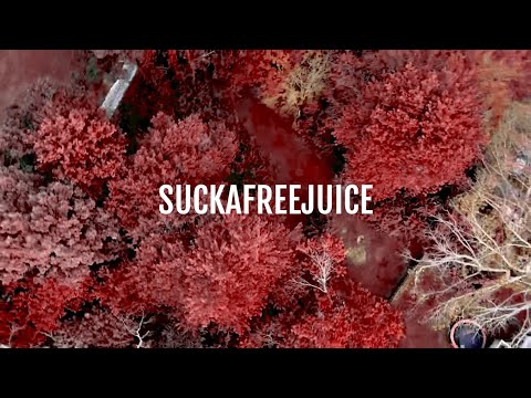 SuckaFreeJuice - DMV (Official Music Video)