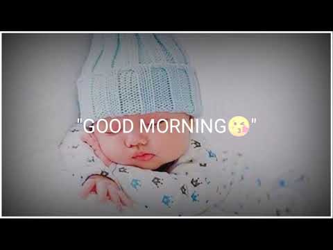 Lo Kar Baat Ham Aap Ko Good Morning Kahane Aaye Or Aap Abhi Tak So Rahe Ho Good Morning Status