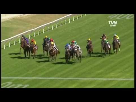 2012 Ranvet Stakes