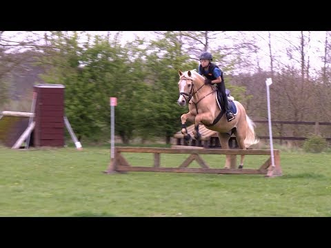 Vielseitige Grundausbildung - Geländereiten: Erste Sprünge