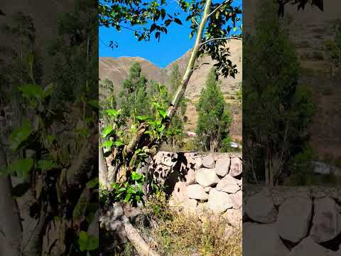 Update on Brujawasi#urubamba #cusco #mountaintrails #peru