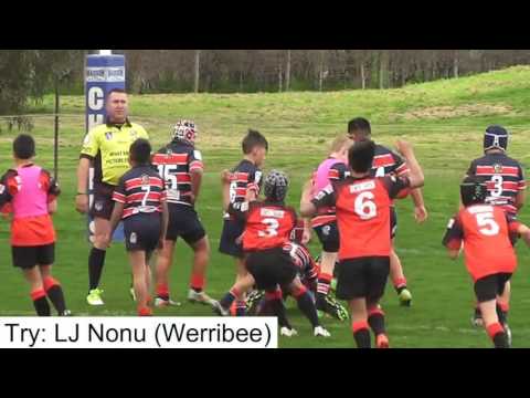2016 NRL Victoria Under 11 Grand Final Highlights