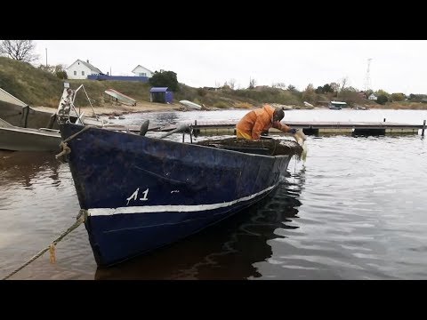 Талабский архипелаг: почти Европа, по духу — Россия | НЕИЗВЕСТНАЯ РОССИЯ