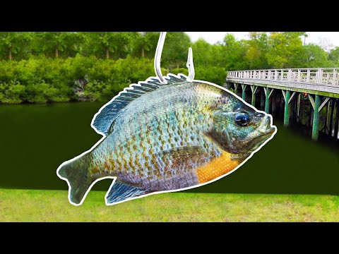 Fishing w/ GIANT Livebait for MONSTER Fish!