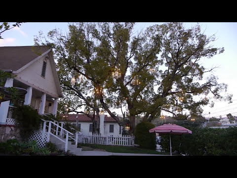 The Chandelier Tree in Los Angeles