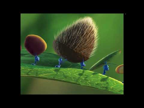 The Tiger King Part 1 - Opening/🎵The Circle of Life🎵