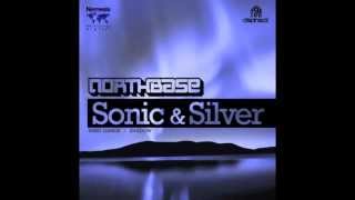 SONIC & SILVER (ACCIDENTAL HEROES) - SHADOW _ NEMESIS RECORDINGS DIGITAL - NRD009B