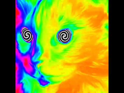 10 DJ ASECONE [ DORPZICHT  ] TINA NEO THANOS 🔔 ERWINDEJUKEBOXMAN 📢