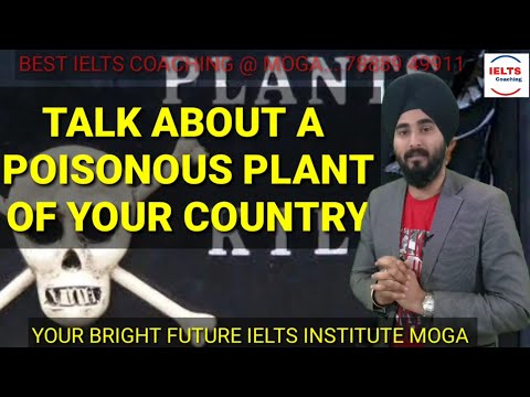 download lagu mp3 mp4 Poisonous Plant Cue Card, download lagu Poisonous Plant Cue Card gratis, unduh video klip Poisonous Plant Cue Card