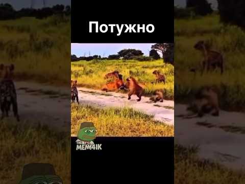ДУЖЕ ПОТУЖНИЙ😅😂😂😆#short#shorts#відео#гумор#прикол#мем#жарти#сміх#смішнівідео#fun#funny#memes