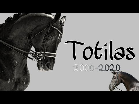 , title : 'Totilas das Wunder Pferd 🕊RIP🕊'