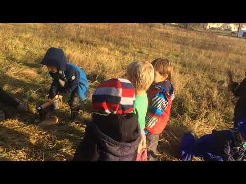 Maringotka Na Větvi