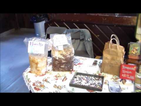 WPMA 2016 GARY LINCOLF MUSHROOM FORAY