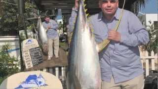 preview picture of video 'Fish Mauritius - Beachcomber Tours with Scott Mackenzie & Hywel Morgan'