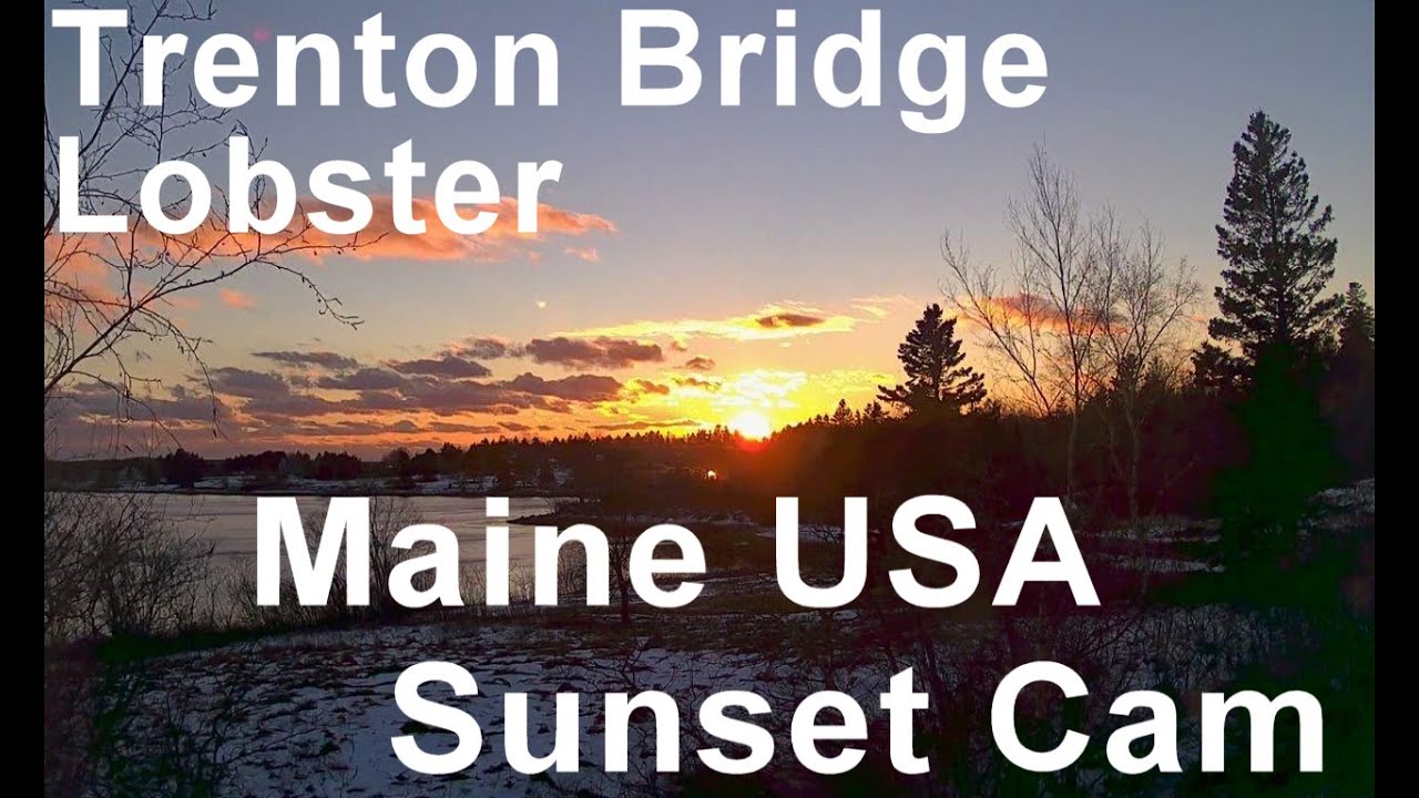 Live webcam view of Trenton Bridge Lobster Cove, Acadia
