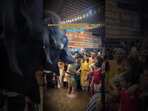 ദൈവം കൊടുത്ത പണി 🔥📈 #shorts #trending #edit #aana #fyp #viral