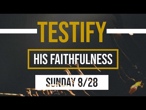 Witness21  2022 09 04