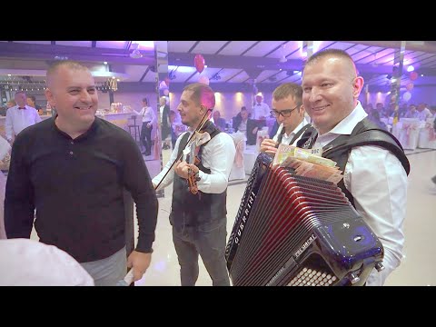 ROKI BEGOVIC / ZIVKICA / ORKESTAR KRALJEVI - HITOVI ZA SVA VREMENA