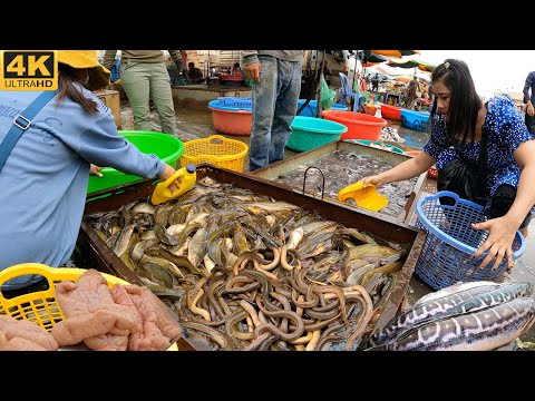 The Biggest Wholesale Fish Market in Phnom Penh @Kilometers 9