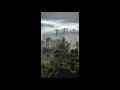 Idukki Whatsapp Status Shorts Vagamon
