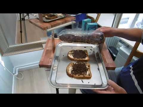 Experiment  idee hagelslag op je sneetje brood strooi apparaat plastic fles