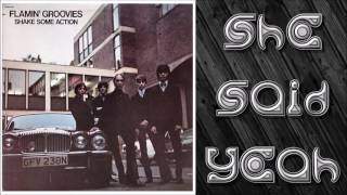 Flamin' Groovies - She Said Yeah